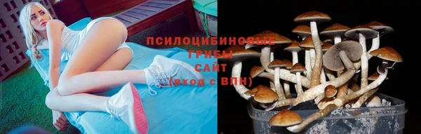 стафф Домодедово