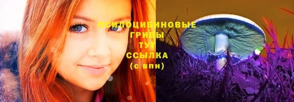 ECSTASY Алексеевка