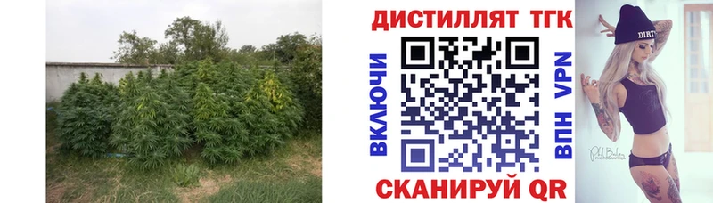 shop какой сайт  OMG ONION  Дистиллят ТГК вейп с тгк  Находка  закладка 