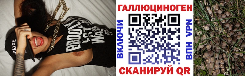Галлюциногенные грибы ЛСД Находка